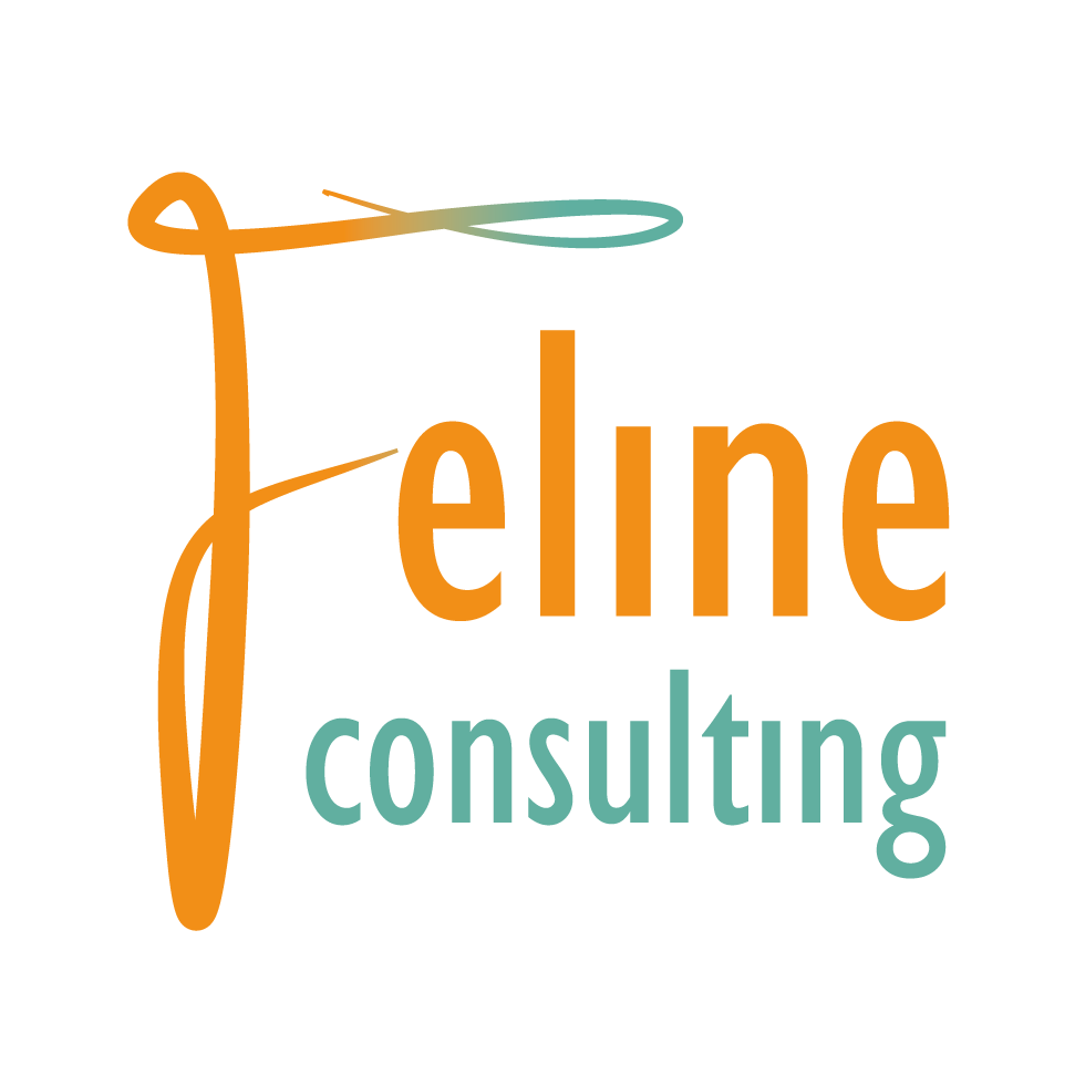 Logo OVERLOOP ORANJE-BLAUW wp2